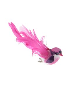 2 x Oiseau Fuchsia sur Pince